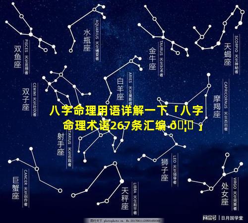 八字命理用语详解一下「八字命理术语267条汇编 🦊 」